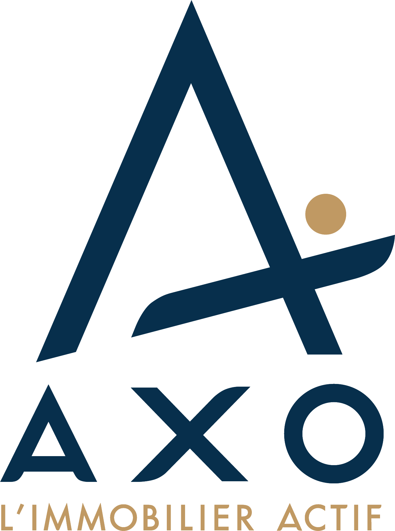 Logo AXO Immobilier
