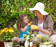 Une grand-mère et sa petite fille plantes des fleurs dans le jardin.